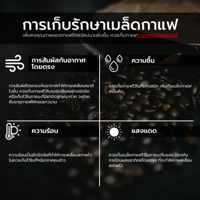 Baramio เมล็ดกาแฟ Ethiopia Buku Abel G1 100 - 200 G