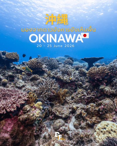 Okinawa Freediving 2026