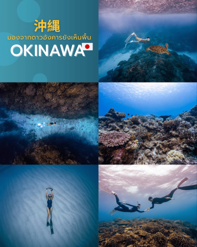 Okinawa Freediving 2026