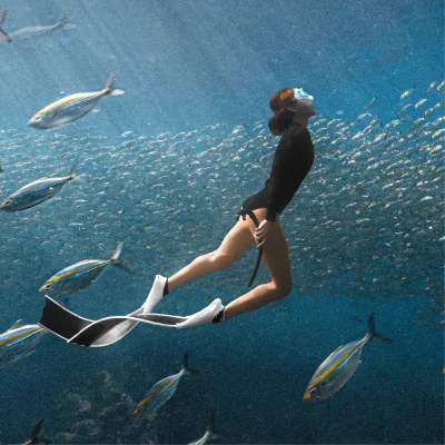 Freediving Level 3 Freediving เตรียมตัวสู่สาย Professional (ประเภท Freediving Course)