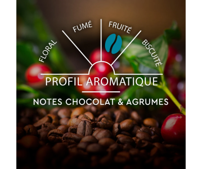 กาแฟ Carte Noire Classic coffee capsules, จาก ฝรั่งเศส