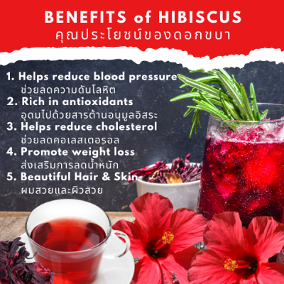 Hibiscus Elderberry Herbal Tea 100% organic  15 tea bags