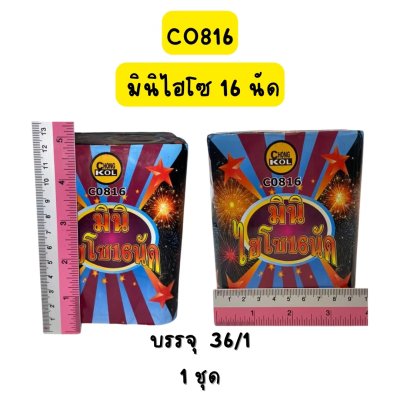 มินิไฮโซ 16 นัด