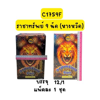 ราชาทรัพย์ 9 นัด 2 ชั้น