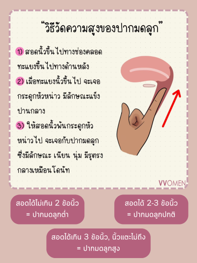 Softie Disc VVOMEN - Regulare size / Soft Menstrual Disc