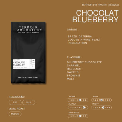 Chocolat  Blueberry