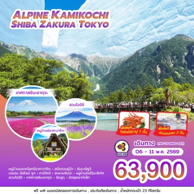 JP017 ทัวร์โตเกียว เทศกาลชิบะซากุระ 6วัน 3 คืน TG