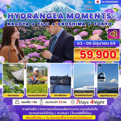 JP24ENO ทัวร์โตเกียว ฤดูดอกไฮเดรนเยีย 7วัน 4คืน (TG)