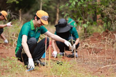 CSR ปลูกป่า