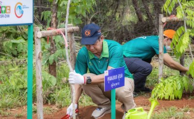 CSR ปลูกป่า