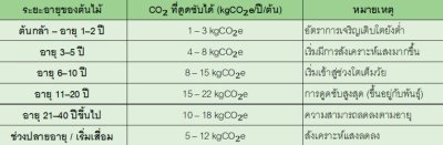 CFO