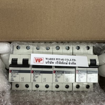 BH-D10 2P C32
