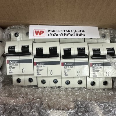 BH-D10 2P C20