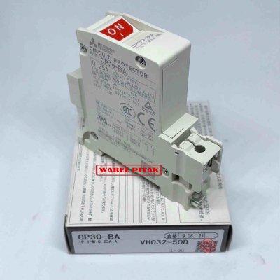 CP30-BA 1P 1M 0.25A
