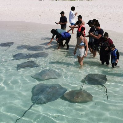 Thulhagiri Maldives + Kaani Palm Beach 4D3N