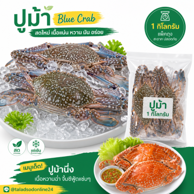 Blue Crab - 1kg