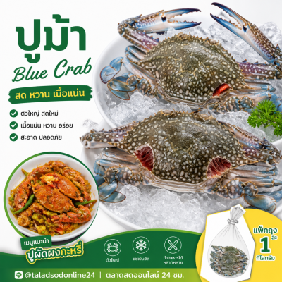 Blue Crab - 1kg