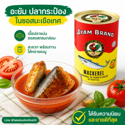 อะยัม ปลาแมคเคอเรลในซอสมะเขือเทศ ปลากระป๋อง - 425g