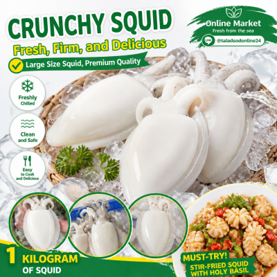 Cuttlefish - 1kg