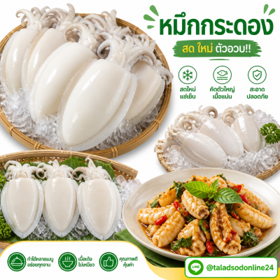 Cuttlefish - 1kg