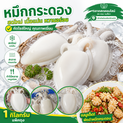 Cuttlefish - 1kg