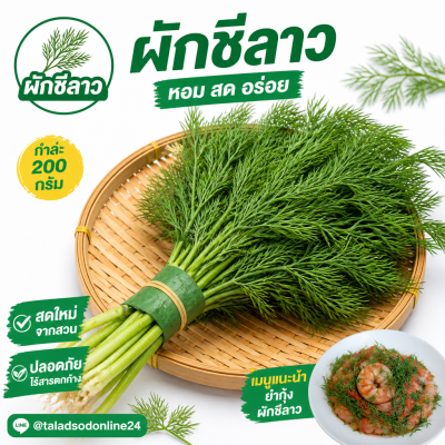Dill - 200g.
