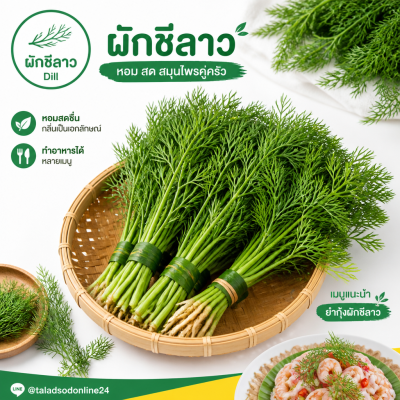 Dill - 200g.