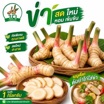 Galangal - 1kg.