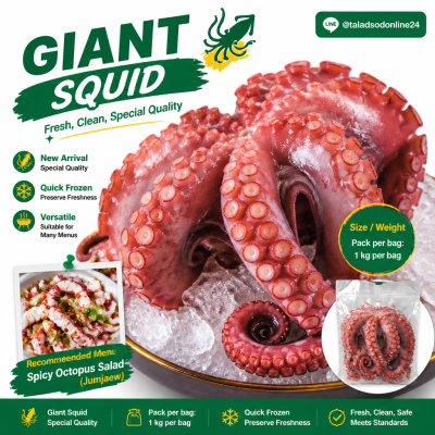 Giant Squid - 1kg