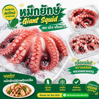 Giant Squid - 1kg