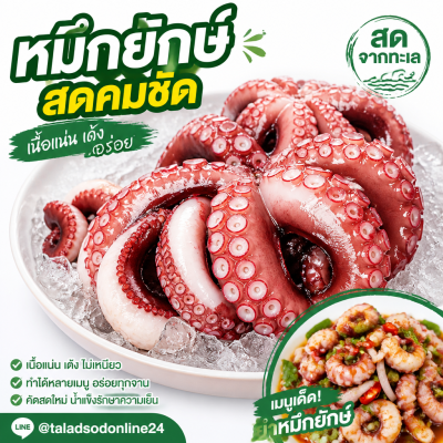 Giant Squid - 1kg