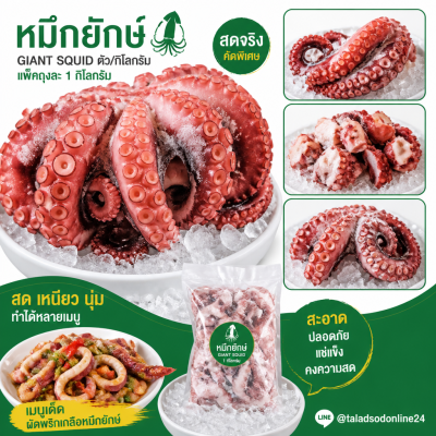 Giant Squid - 1kg