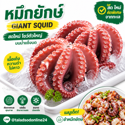 Giant Squid - 1kg