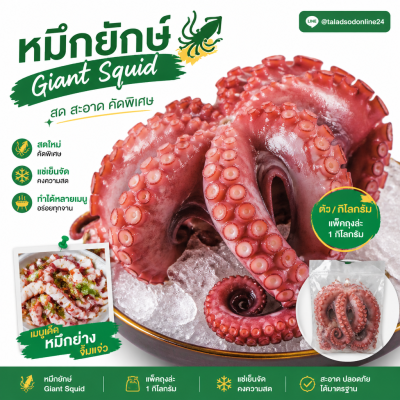 Giant Squid - 1kg