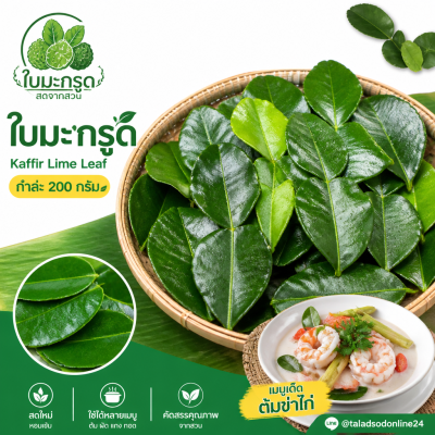 Kaffir Lime Leaf - 200g.
