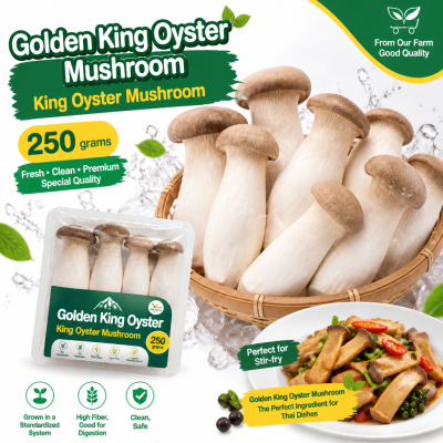 เห็ดนางรมหลวง - 250g
