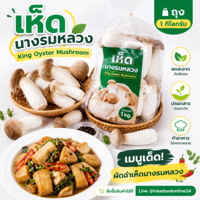 เห็ดนางรมหลวง - 1kg
