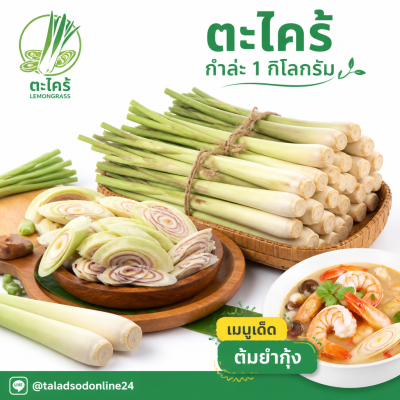 ตะไคร้ - 1kg.