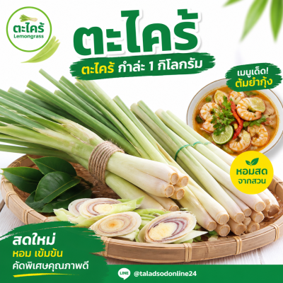 ตะไคร้ - 1kg.