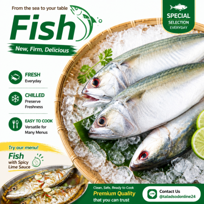 Mackerel - 1kg