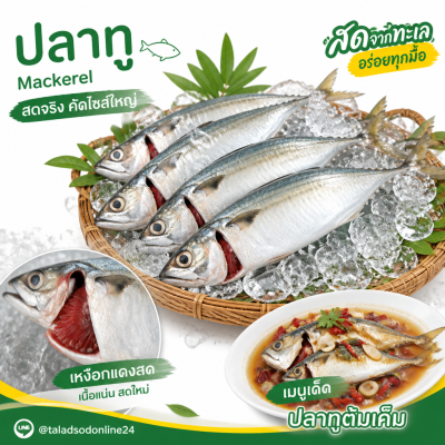 Mackerel - 1kg