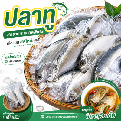 Mackerel - 1kg