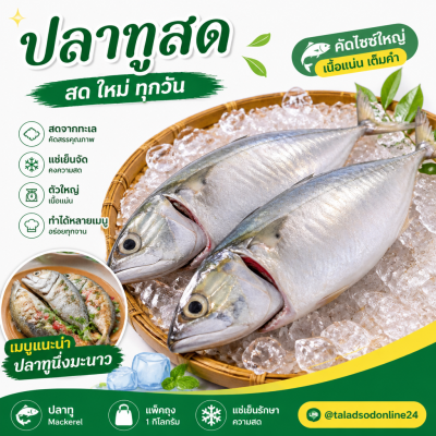 Mackerel - 1kg
