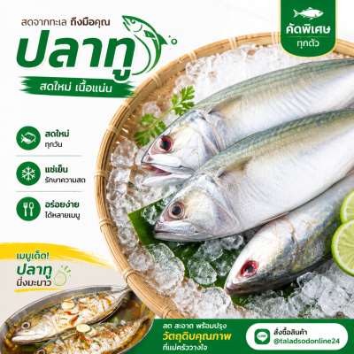 Mackerel - 1kg