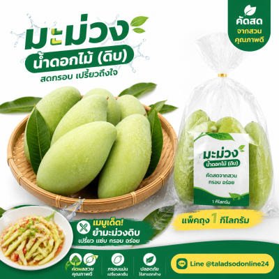 มะม่วง – น้ำดอกไม้-ดิบ - 1kg