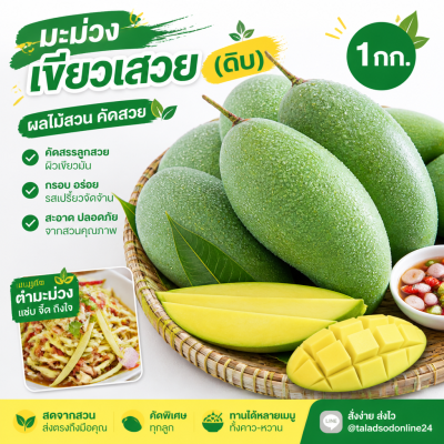 มะม่วง – เขียวเสวย-ดิบ - 1kg