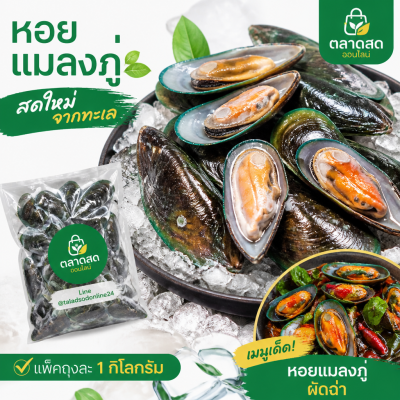 Mussel - 1kg