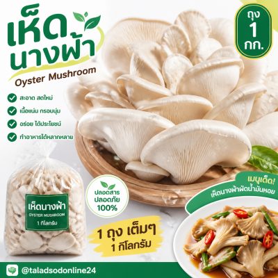 เห็ดนางฟ้า - 1kg