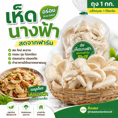เห็ดนางฟ้า - 1kg