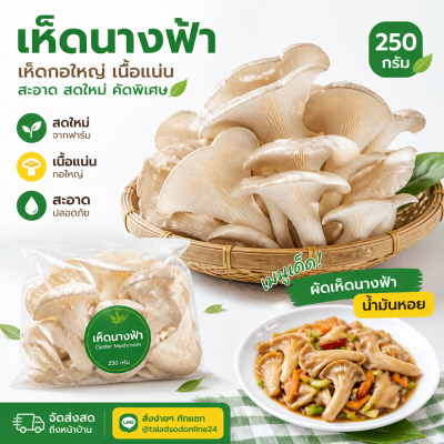 เห็ดนางฟ้า - 250g